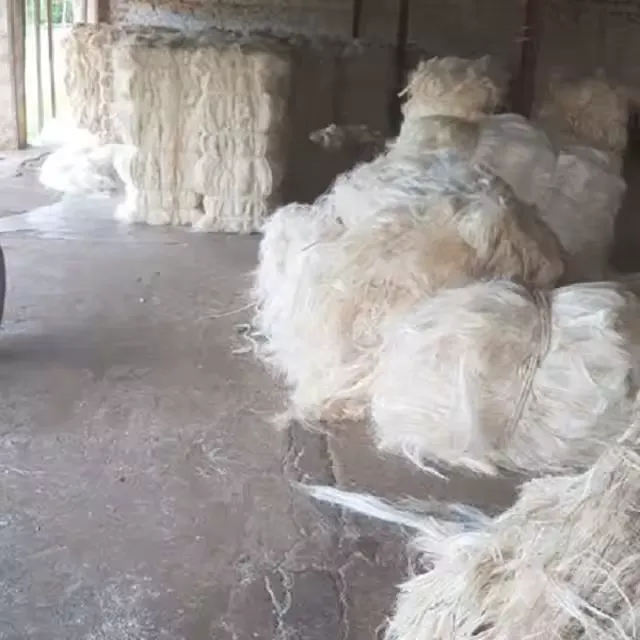 Sisal fiber Grade 3L