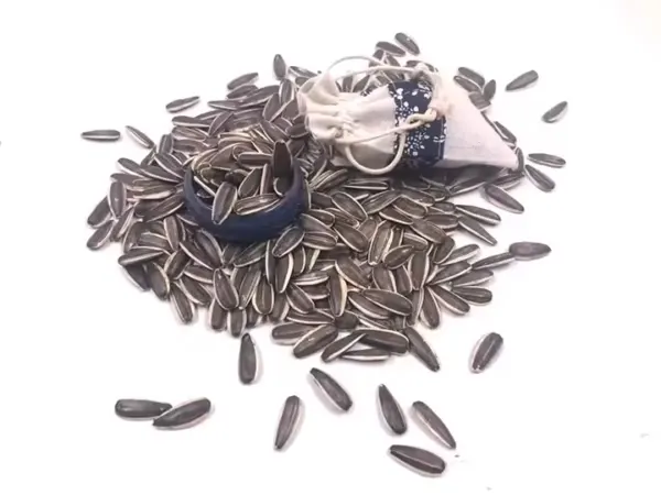 Sunflower seeds